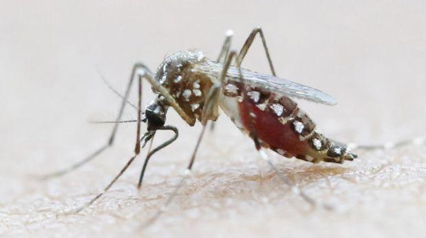 First Indigenous Case of Zika Virus in Argentina