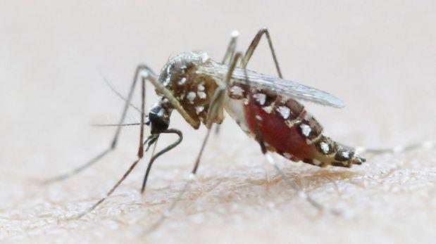 Cuba: Third Imported Zika Case Reported
