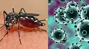 Cuba reinforces control measures against COVID-19 and Dengue fever